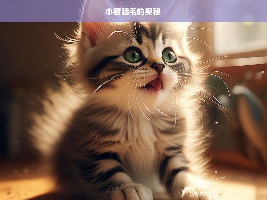 小猫舔毛的奥秘