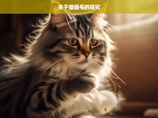 关于猫舔毛的探究