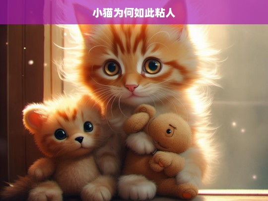 小猫为何如此粘人