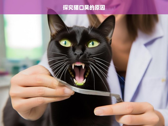 探究猫口臭的原因