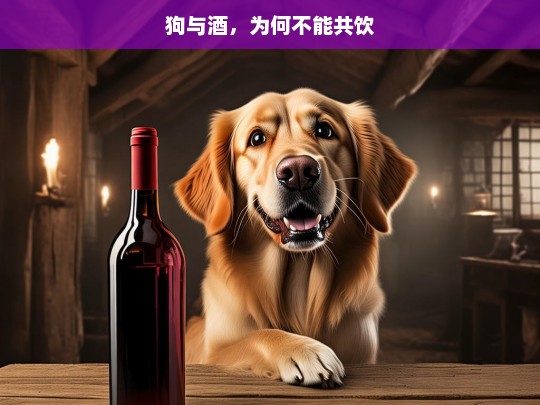 狗与酒，为何不能共饮