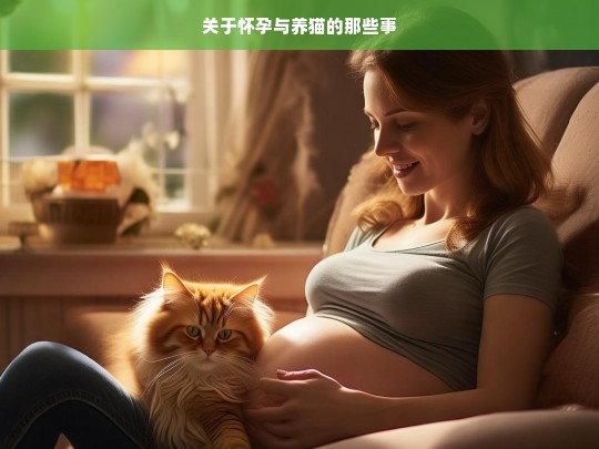 关于怀孕与养猫的那些事