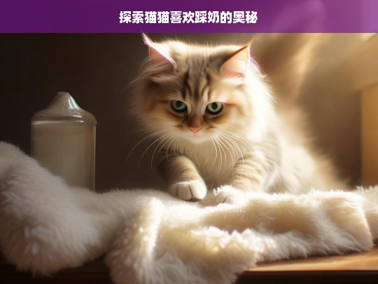 探索猫猫喜欢踩奶的奥秘