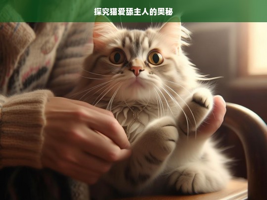 探究猫爱舔主人的奥秘