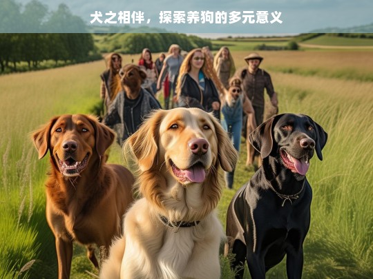 犬之相伴，探索养狗的多元意义