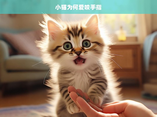 小猫为何爱咬手指