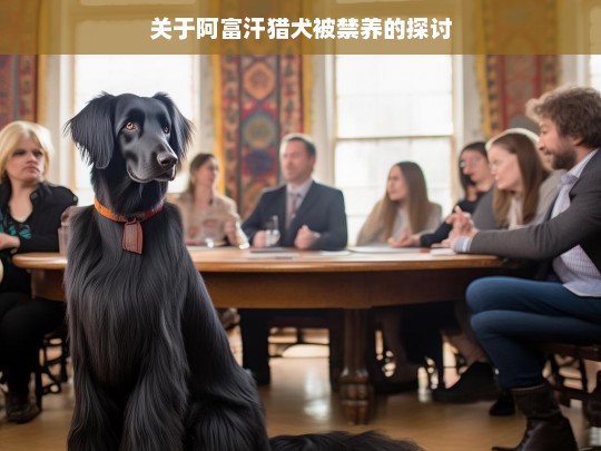 关于阿富汗猎犬被禁养的探讨