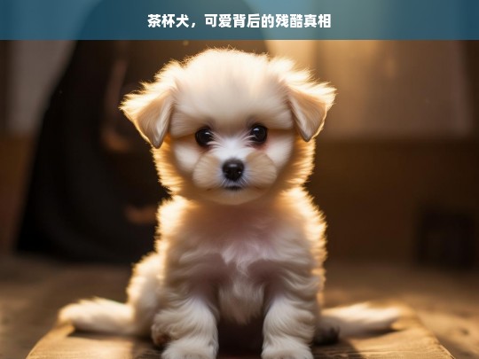 茶杯犬，可爱背后的残酷真相