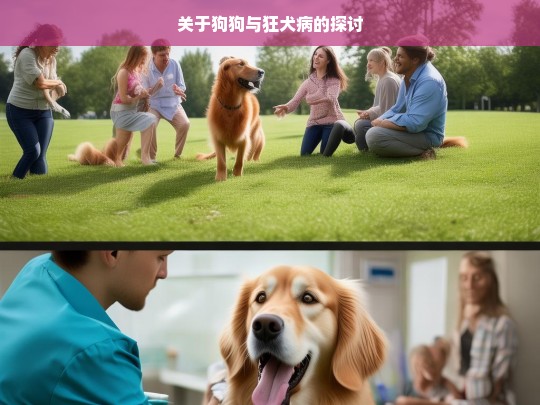 关于狗狗与狂犬病的探讨