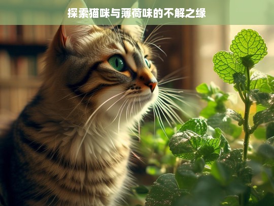 探索猫咪与薄荷味的不解之缘