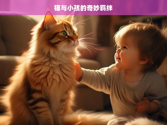 猫与小孩的奇妙羁绊