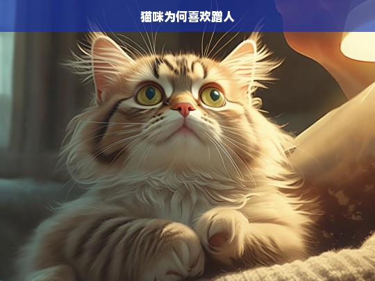 猫咪为何喜欢蹭人