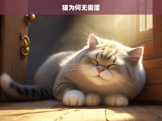 猫为何无需溜