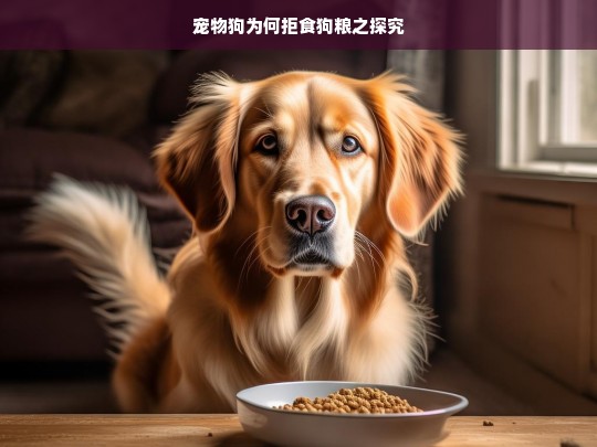 宠物狗为何拒食狗粮之探究