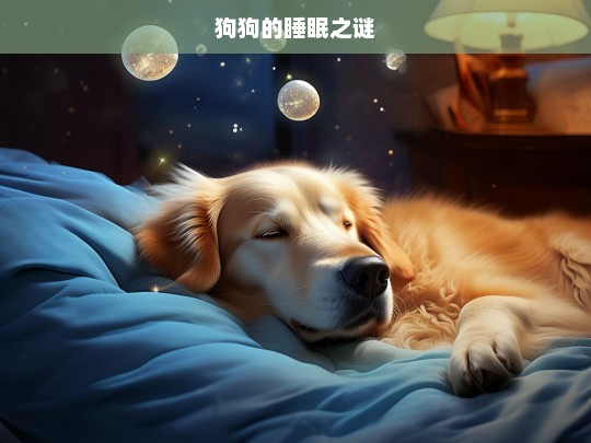 狗狗的睡眠之谜