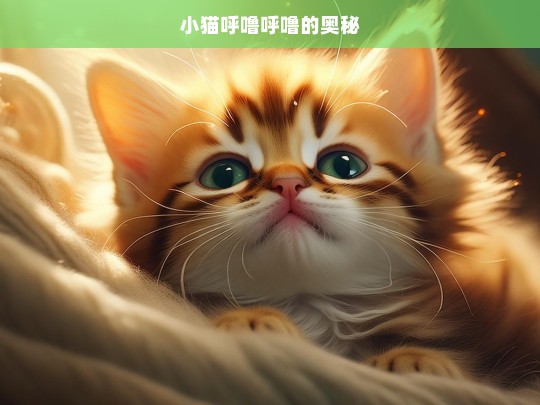 小猫呼噜呼噜的奥秘