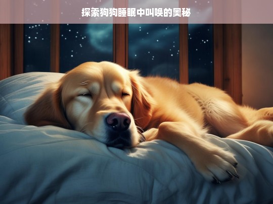 探索狗狗睡眠中叫唤的奥秘