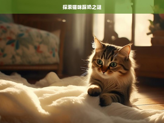 探索猫咪踩奶之谜