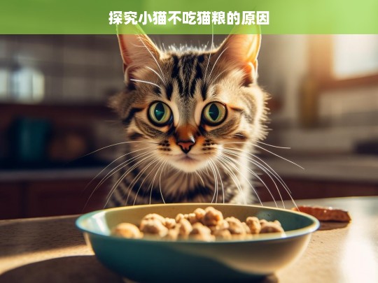 探究小猫不吃猫粮的原因