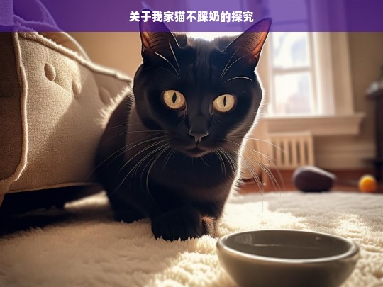 关于我家猫不踩奶的探究