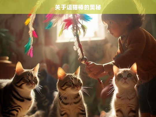 关于逗猫棒的奥秘