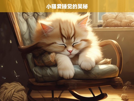 小猫爱睡觉的奥秘