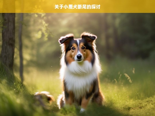 关于小鹿犬断尾的探讨