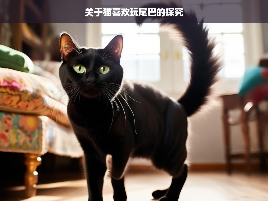 关于猫喜欢玩尾巴的探究