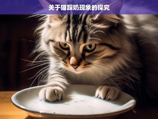 关于猫踩奶现象的探究