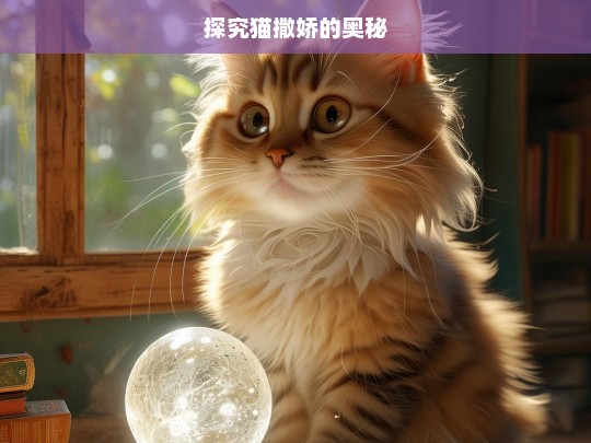 探究猫撒娇的奥秘