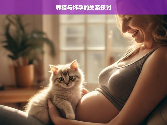 养猫与怀孕的关系探讨