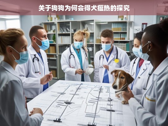 关于狗狗为何会得犬瘟热的探究