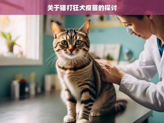 关于猫打狂犬疫苗的探讨