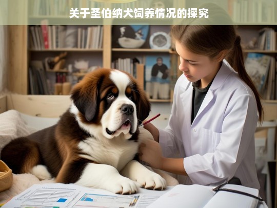 关于圣伯纳犬饲养情况的探究