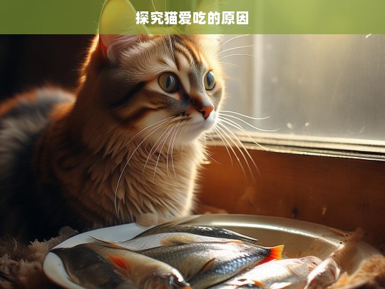 探究猫爱吃的原因