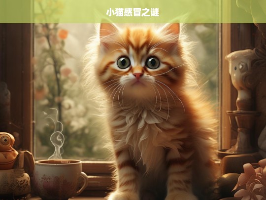 小猫感冒之谜