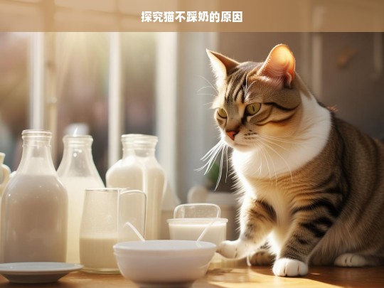 探究猫不踩奶的原因