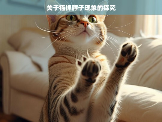 关于猫抓脖子现象的探究