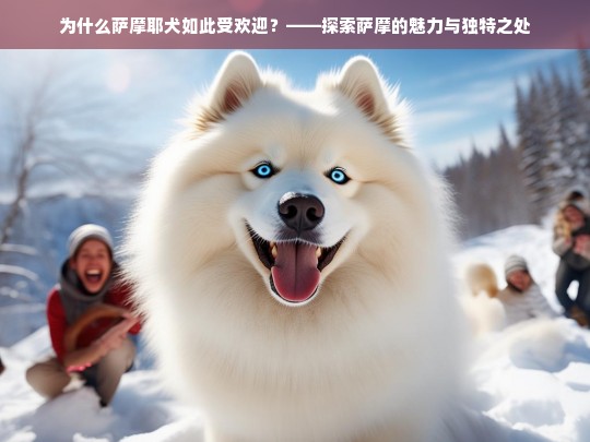 为什么萨摩耶犬如此受欢迎？——探索萨摩的魅力与独特之处