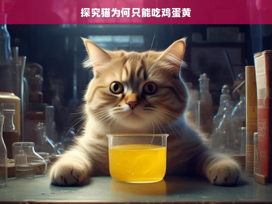 探究猫为何只能吃鸡蛋黄