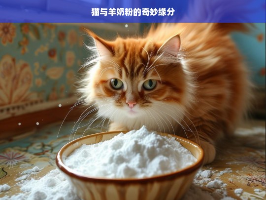 猫与羊奶粉的奇妙缘分