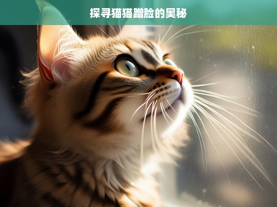 探寻猫猫蹭脸的奥秘