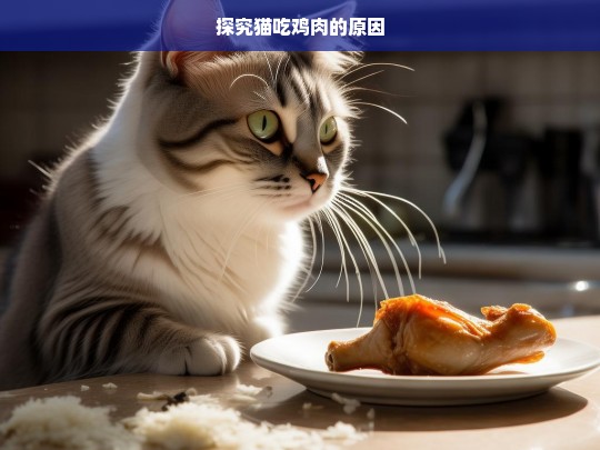 探究猫吃鸡肉的原因