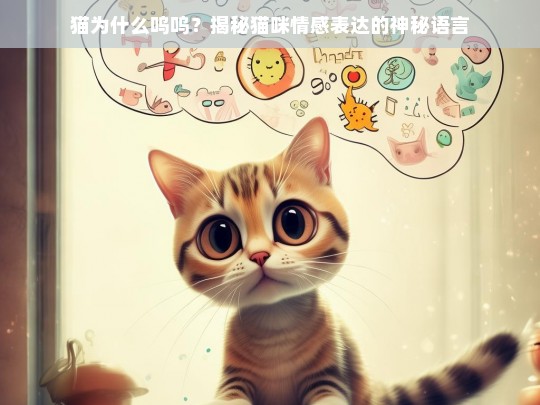 猫为什么呜呜？揭秘猫咪情感表达的神秘语言