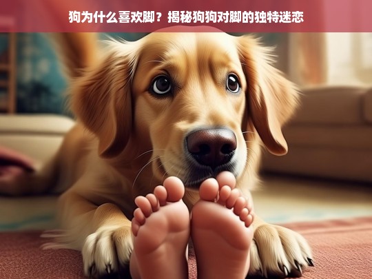 狗为什么喜欢脚？揭秘狗狗对脚的独特迷恋