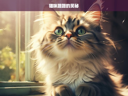 猫咪蹭蹭的奥秘