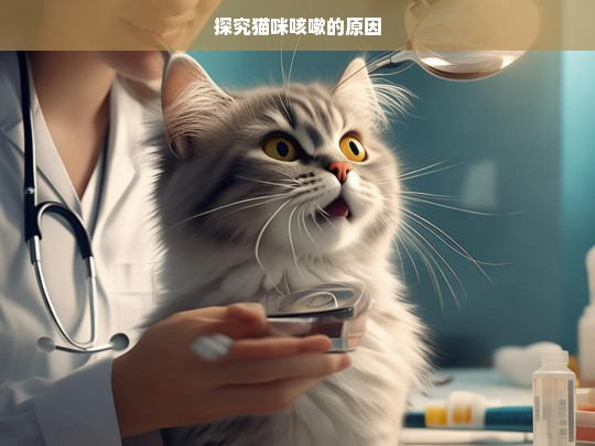 探究猫咪咳嗽的原因