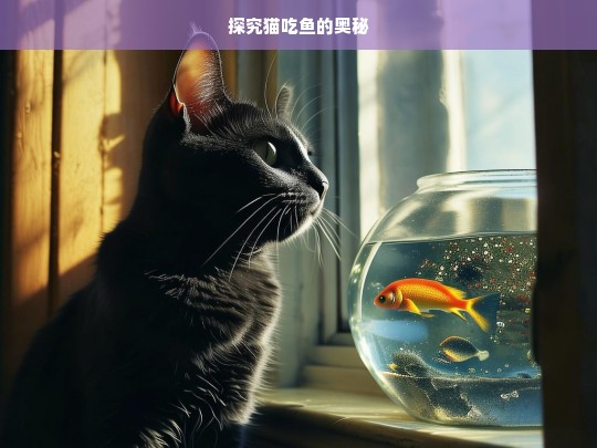 探究猫吃鱼的奥秘