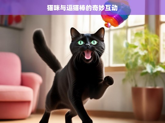 猫咪与逗猫棒的奇妙互动