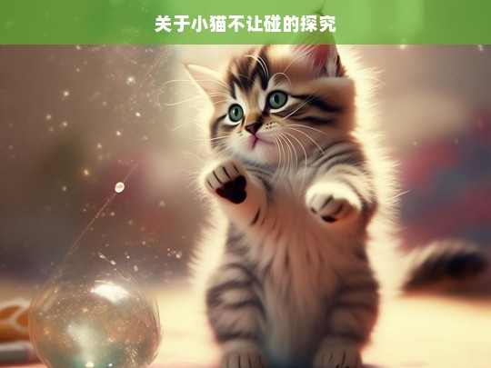 关于小猫不让碰的探究